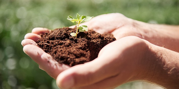 Rituais de bem-estar terra presenca estabilidade cuidado natureza